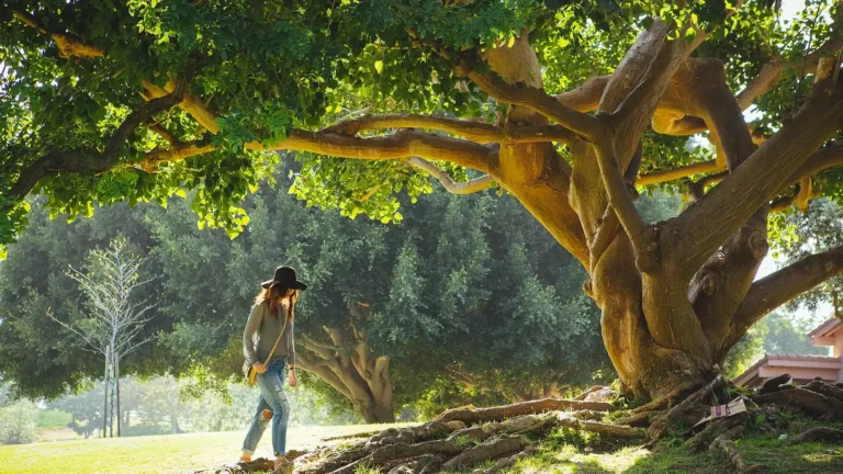 Woman walking outdoors, showing the benefits of walking every day
